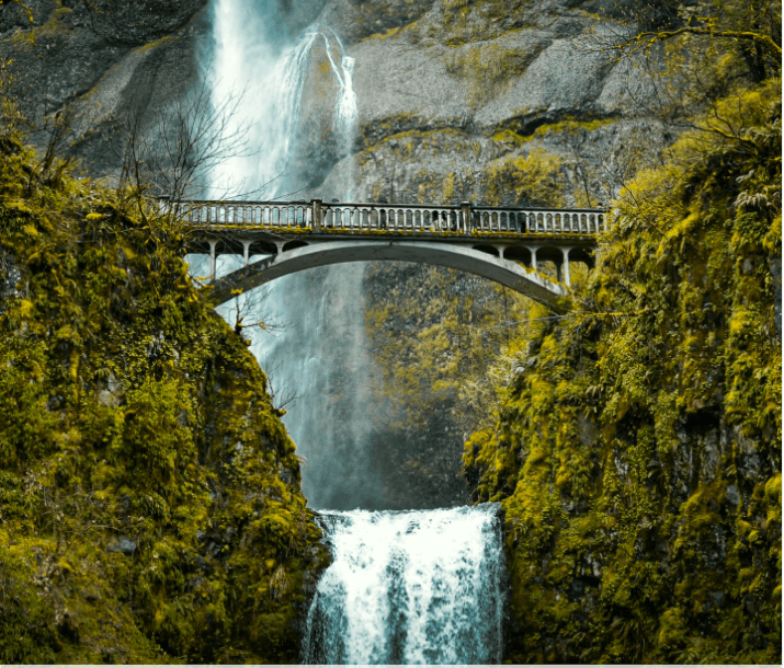 Oregon business landscape